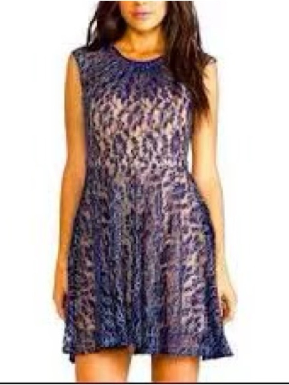 Miss Me Purple Lace Fit & Flare Mini Dress